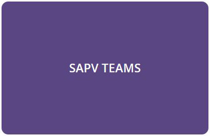 SAPV Teams